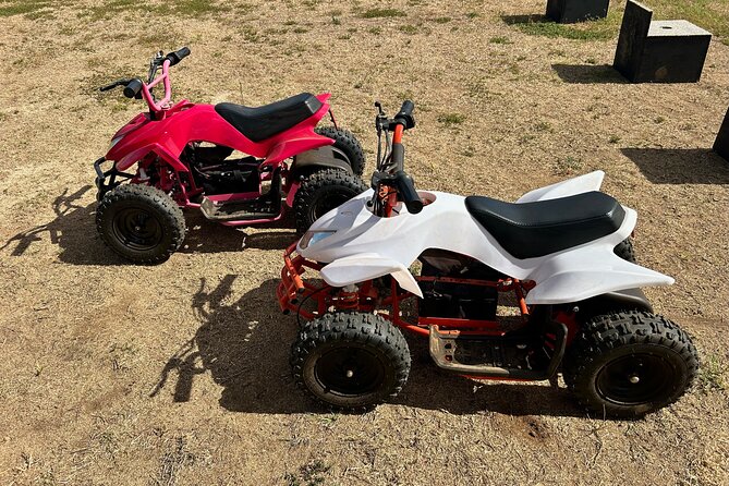 Mini ATVs and Farm Animal Experience - A Short ATV Ride Built for Young Children