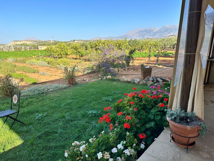 Moires: Cooking Class and Olive Oil Tasting at a Family Farm - What the $100 price really covers