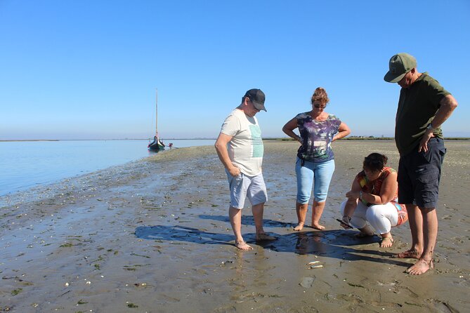 Moliceiro boat trip, with experience in bivalves harvesting - Why the Ria de Aveiro is worth seeing from the water