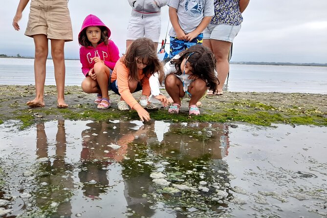 Moliceiro boat trip, with experience in bivalves harvesting - How the two-hour-15-minute schedule works