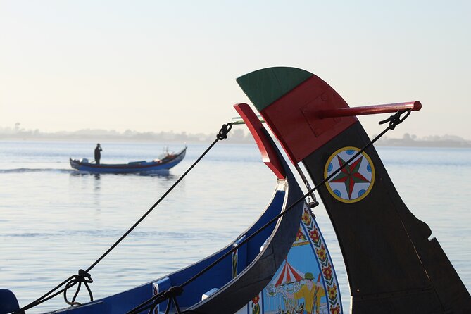 Moliceiro boat trip, with experience in bivalves harvesting - Is $21.88 good value?