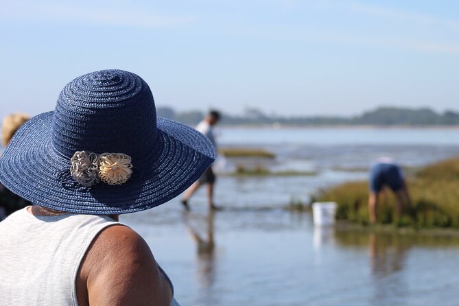Moliceiro boat trip, with experience in bivalves harvesting - Booking, weather, and small practical details