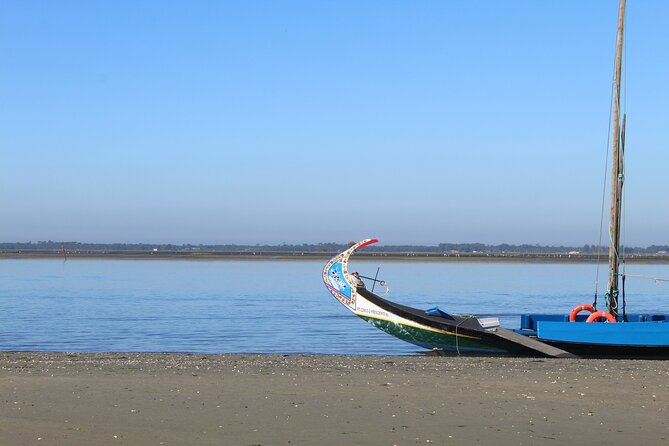 Moliceiro boat trip, with experience in bivalves harvesting - The bivalve stop turns scenery into a lesson