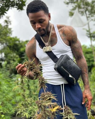 Cannabis Farm, Bamboo Rafting, & Foot Massage