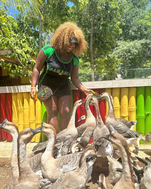 Montego Bay: Marijuana Farm and Bird Sanctuary Tour - Practical questions to ask before you leave