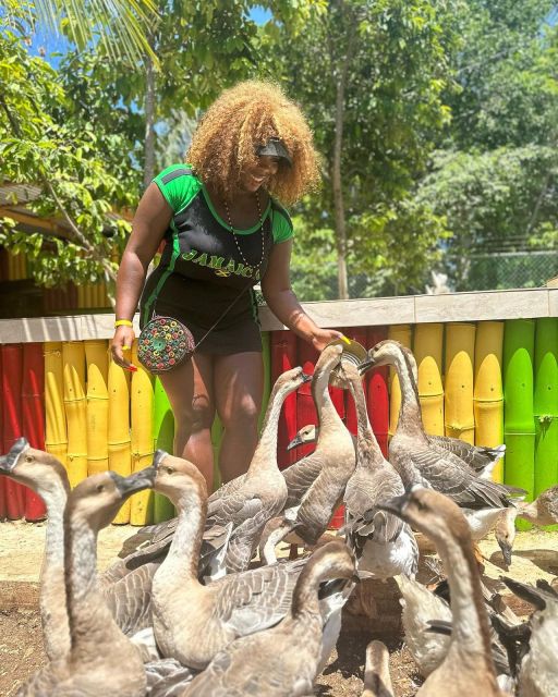 Montego Bay: Marijuana Farm and Bird Sanctuary Tour - What the bird sanctuary adds