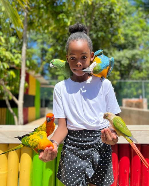 Montego Bay: Marijuana Farm and Bird Sanctuary Tour - Price and the real value of the outing
