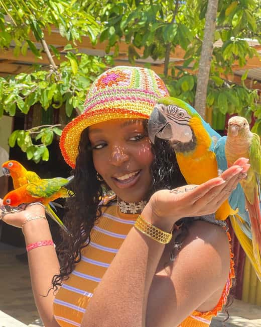 Montego Bay: Marijuana Farm and Bird Sanctuary Tour - How the experience has performed for visitors