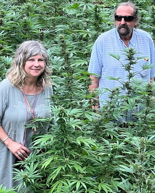 Montego Bay: Marijuana Farm Private Tour with Transportation - Hands-on work depends on the season