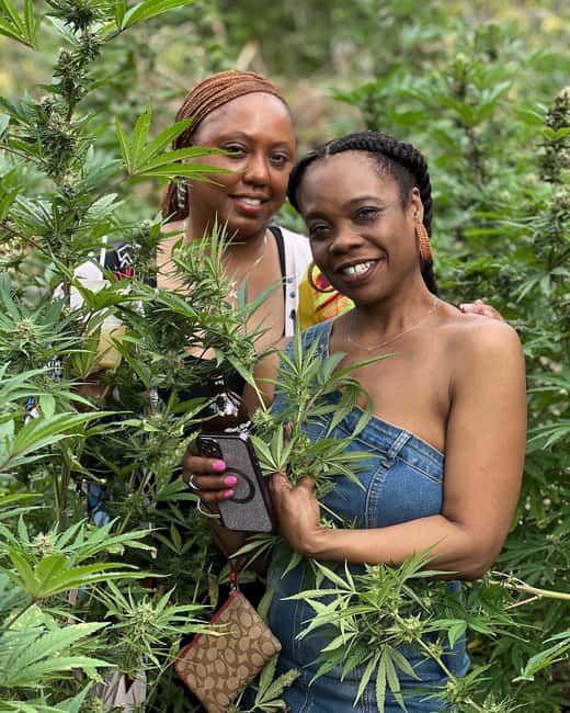 Montego Bay: Marijuana Farm Private Tour with Transportation - The farm is intimate, not a huge attraction