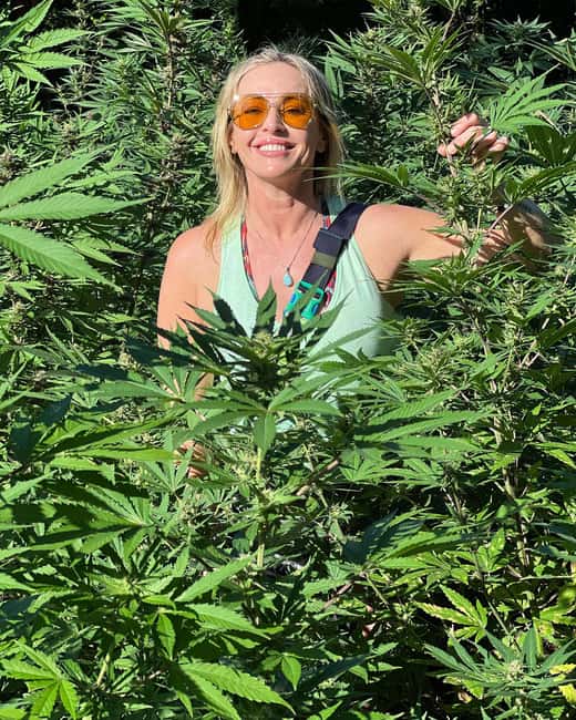 Montego Bay Marijuana Farm Tour - Who will enjoy this farm visit most?