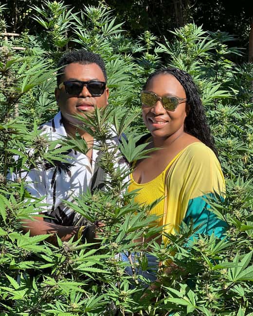 Montego Bay Marijuana Farm Tour - Meeting the guide and hearing the Jamaican side