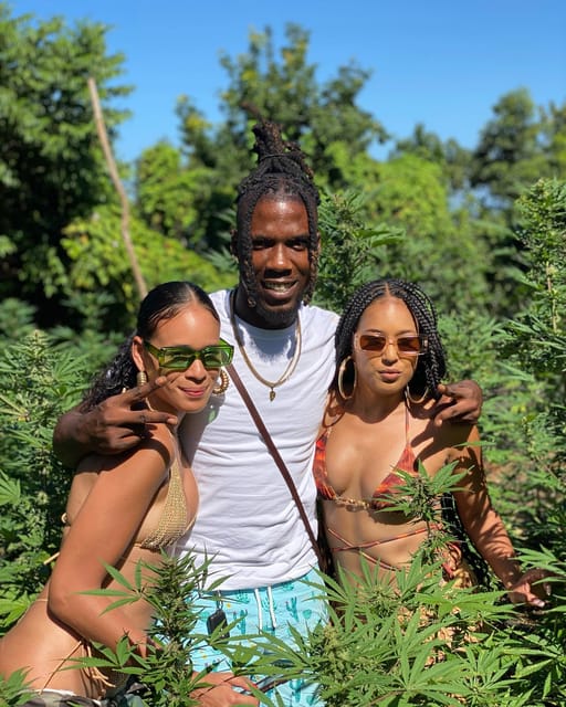 Montego Bay Marijuana Farm Tour - Photos among the rows of plants