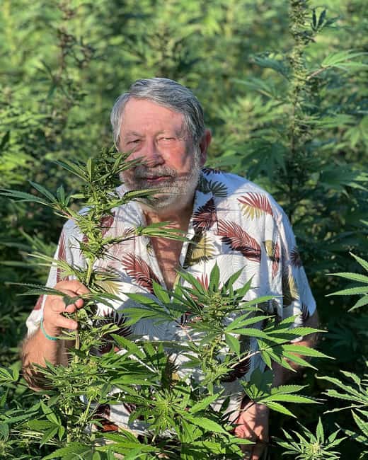 Montego Bay Marijuana Farm Tour - The possible sampling invitation