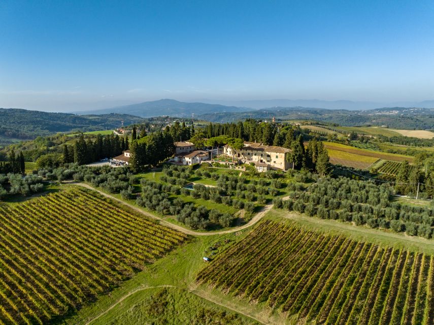 Montespertoli: Poggio Capponi Farm Chianti Wine Tour - Key points to know before booking