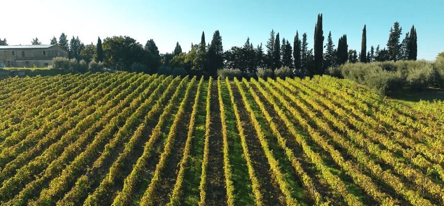 Montespertoli: Poggio Capponi Farm Chianti Wine Tour - The Wine Museum and vintages dating to 1950