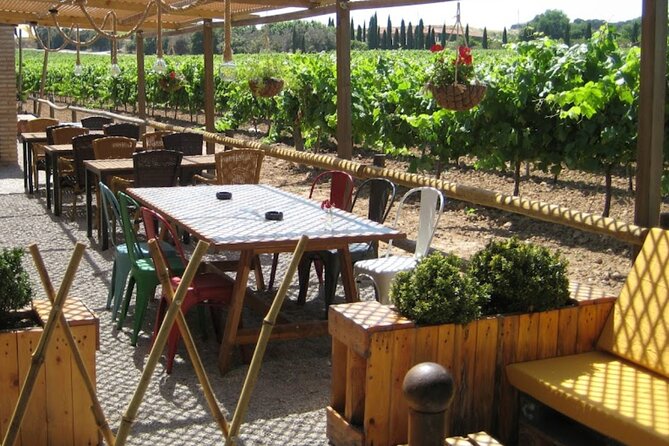 Montserrat & Winery Visit Tour with Traditional Farmhouse Lunch - A farmhouse lunch in the Penedès vineyards