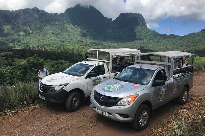 Moorea 4WD Tour Inc. Belvedere, Pineapple Farm, Magic Mountain... - The five details that shape the experience
