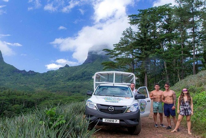 Moorea 4WD Tour Inc. Belvedere, Pineapple Farm, Magic Mountain... - Magic Mountain and the island from above