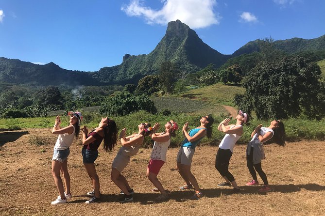 Moorea 4WD Tour Inc. Belvedere, Pineapple Farm, Magic Mountain... - What the $70 price really buys you