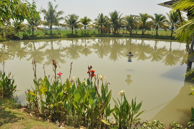 Morning Cooking Class in Organic Farm with Local Market Tour - Starting at 8:30 with Chiang Mai pickup