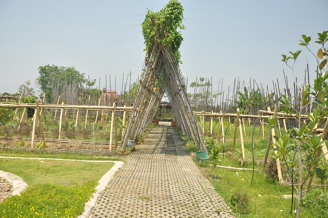 Morning Cooking Class in Organic Farm with Local Market Tour - Is $29 good value?