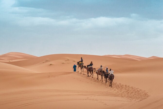 Morning Desert Safari From Abu Dhabi -Camel Ride,Sand Boarding,Camel Farm Visit - Who will enjoy this morning safari most