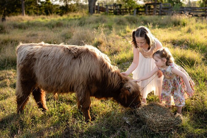 Morning Farm Experience near Gympie & Noosa - Key points at a glance