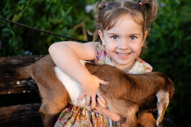 Morning Farm Experience near Gympie & Noosa - Sourcing produce and making a campfire treat