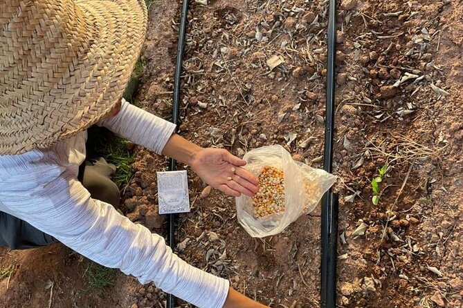 Moroccan Cooking Class and Eco-Farm Visit - Full day - Feeding animals and sharing lunch