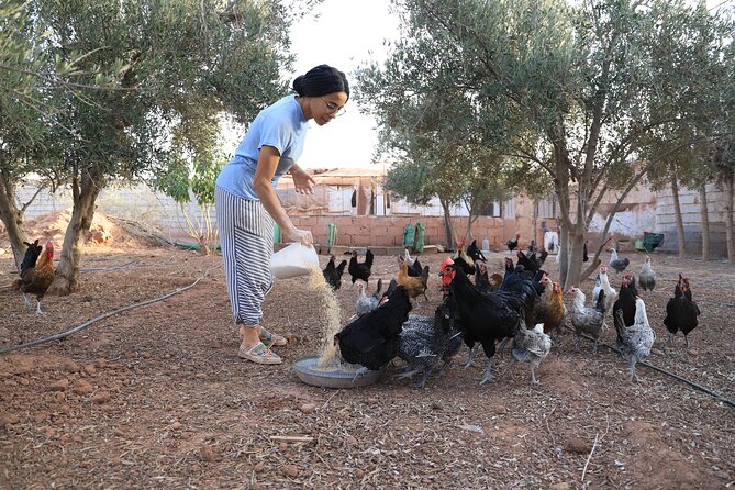 Moroccan Cooking Class and Eco-Farm Visit - Full day - Free time under the trees and on the rooftop
