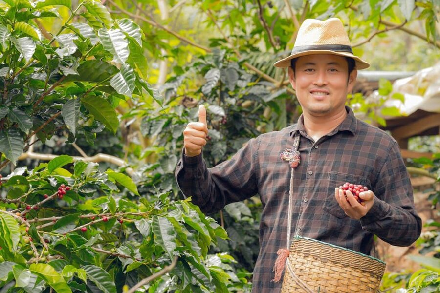 Most complete COFFEE TOUR at local family farm - What the strongest feedback tells you