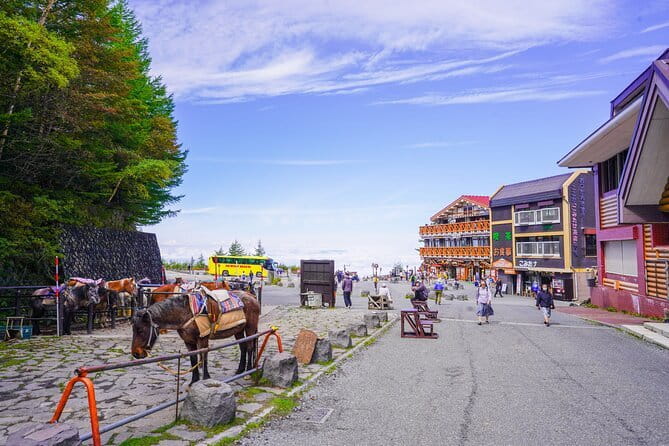 Mt. Fuji Private Chartered Tour with Nature and Wasabi Farm - Leaving Tokyo in a private car