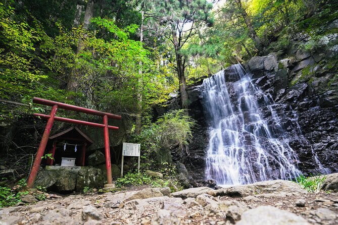 Mt. Fuji Private Chartered Tour with Nature and Wasabi Farm - Oshino Hakkai and Mt. Fuji’s spring water