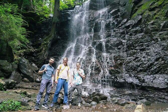Mt. Fuji Private Chartered Tour with Nature and Wasabi Farm - Arakura Sengen Shrine and the famous pagoda view