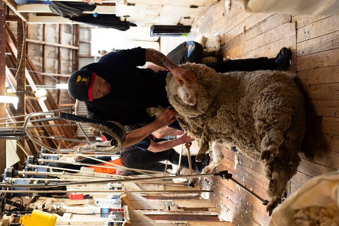 Mt. Hay Farm Experience Genuine Country Farming(Carbon Positive) - Key points to know before you go