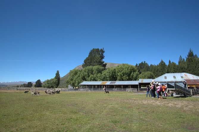 Mt. Hay Farm Experience Genuine Country Farming(Carbon Positive) - How the one-hour schedule affects the experience