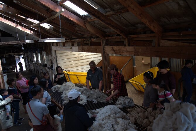 Mt. Hay Farm Experience Genuine Country Farming(Carbon Positive) - Who will enjoy Mt. Hay most?