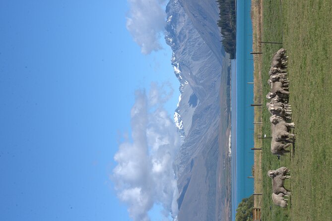 Mt. Hay Farm Experience Genuine Country Farming(Carbon Positive) - Practical details that can change your day
