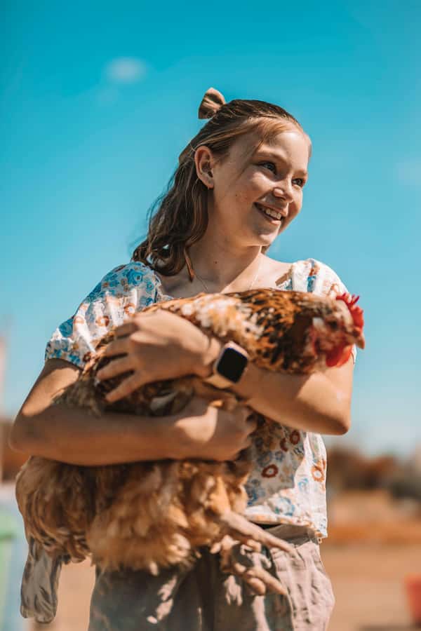 Mutchilba: Farm Animal Feeding - How the timing affects your morning