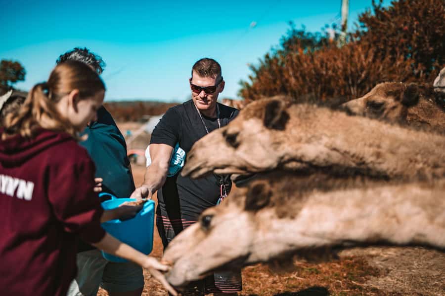 Mutchilba: Farm Animal Feeding - Is $14 good value?