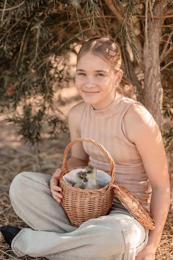 Mutchilba: Farm Animal Feeding - Practical booking advice