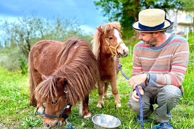 My Tuscan Farm - Three Experiences in One Day - Value, timing, and who should book