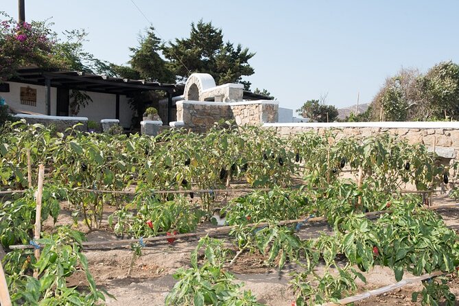 Mykonian Farm Entrance Ticket - Why this farm feels different from central Mykonos
