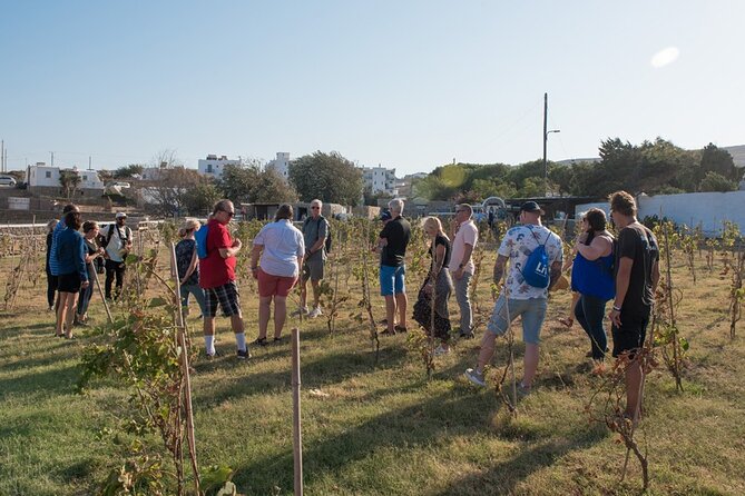 Mykonian Farm Entrance Ticket - Getting there and planning your time