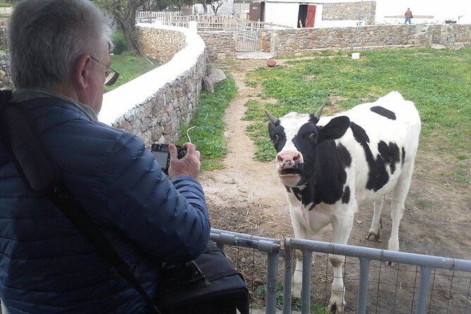 Mykonian Farm Entrance Ticket - A few practical cautions before booking