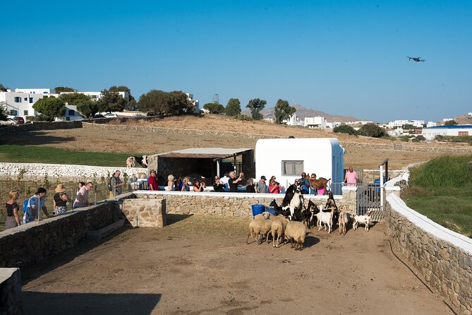 Mykonian Farm Experience - Quick take on the Mykonian Farm Experience