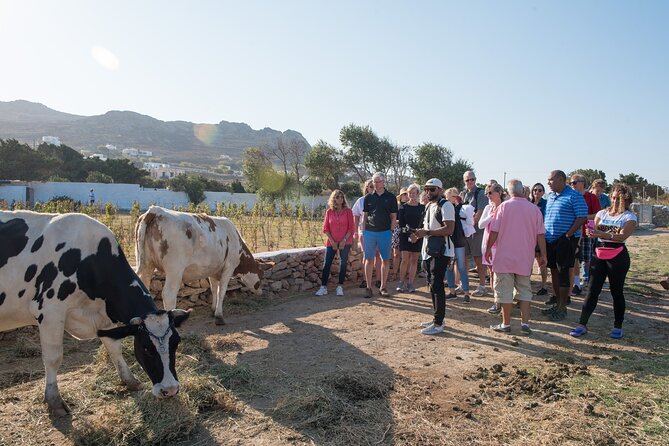 Mykonian Farm Experience - Three Greek wines and 60 to 90 minutes at the table