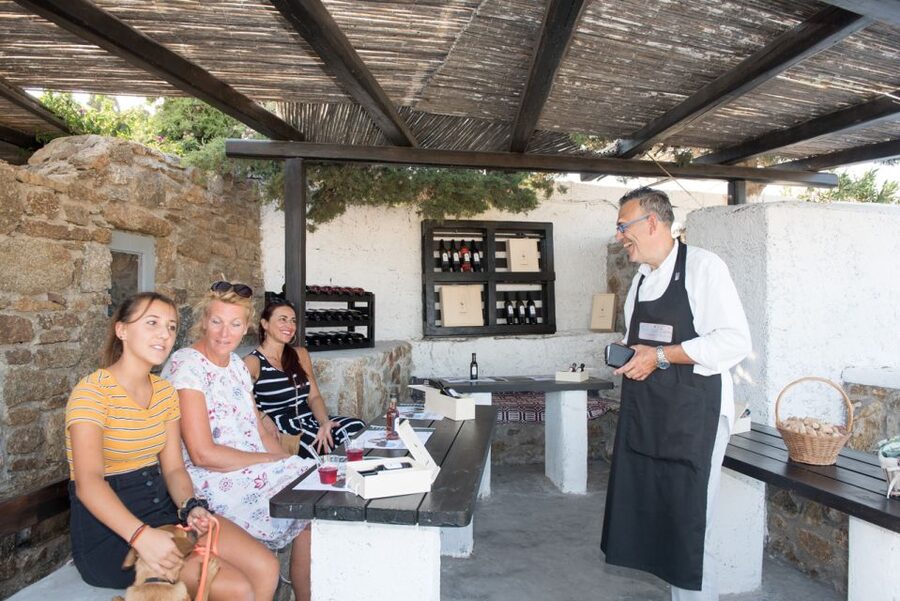 Mykonos: Wine Tasting at a Mykonian Farm - Key points at a glance