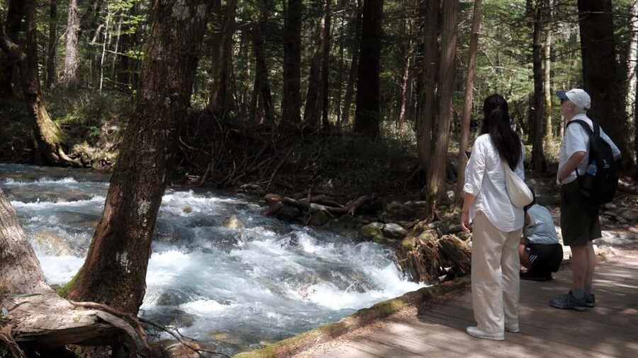 Nagano Autumn special: Kamikochi & Wasabi Farm & Winery - A Countryside Lunch in Azumino